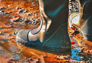 Welly in Puddle