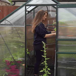 Greenhouse Watering