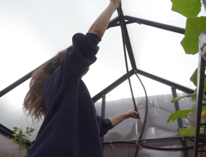 Overhead Greenhouse Pipe